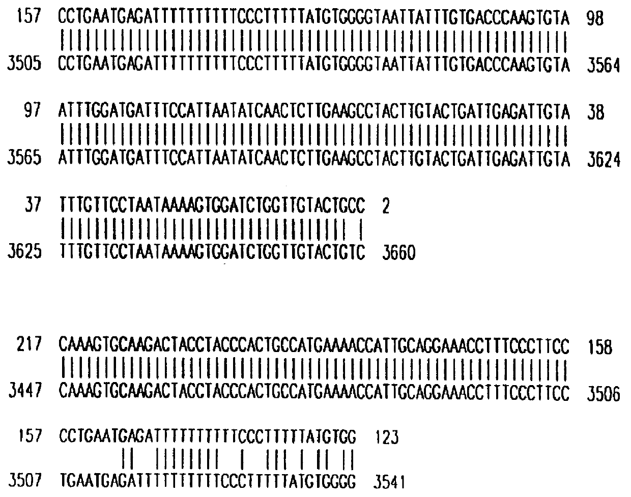 Compositions for the treatment of body weight disorders, including obesity