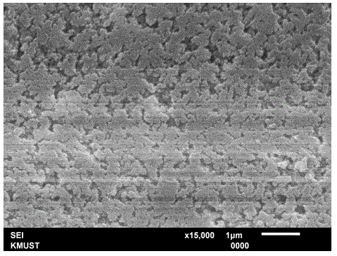 Preparation method of molecular imprinting sorptive extraction stirring bar by using alternative template