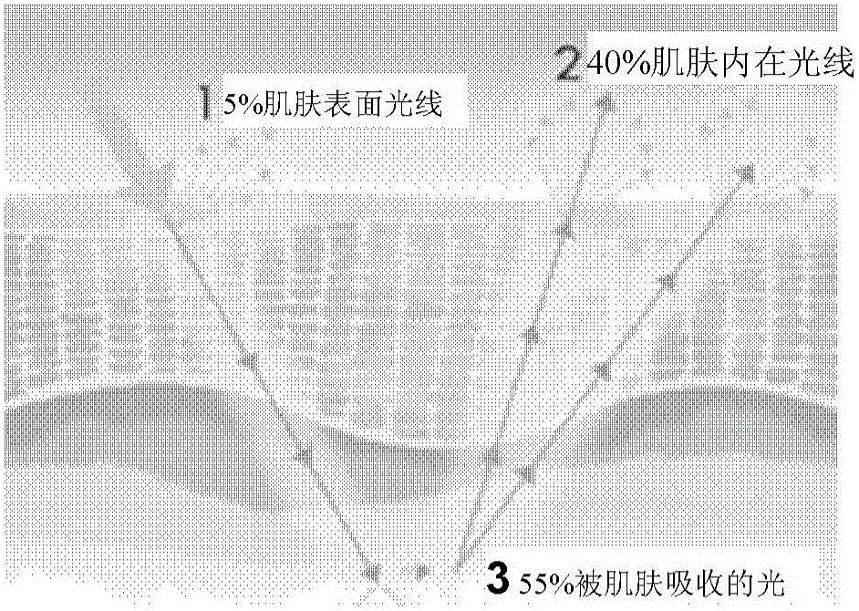 Light sensitive color modulation makeup-falling prevention nanometer powder composition and application thereof in cosmetics