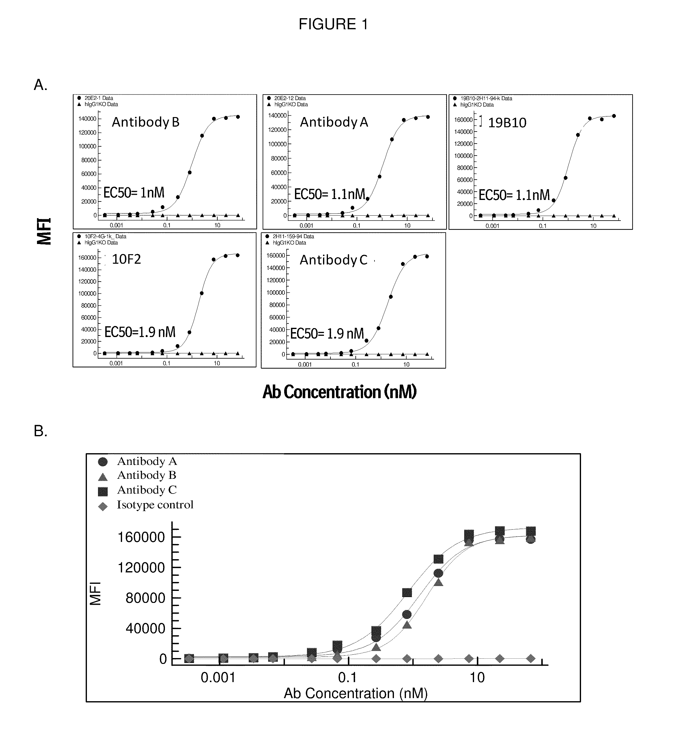 Anti-CD40 antibodies