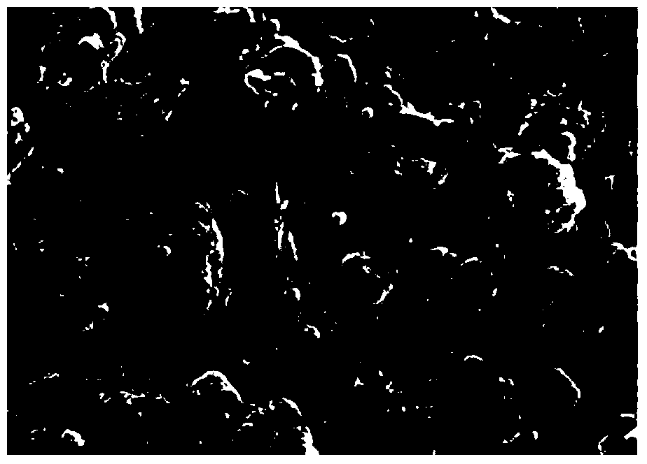 Method for preparing steady-persistence luminous ceramic membrane through magnesium or magnesium alloy surface micro-arc oxidation