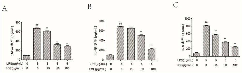 Application of rose odorata var gigantea fruit extract in preparation of medicine, health care product or food for preventing and treating stomach diseases