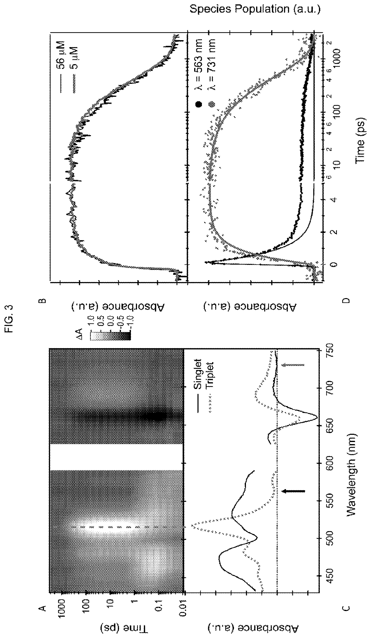 Quantitative intramolecular fission in oligoacenes, materials, and methods of use thereof