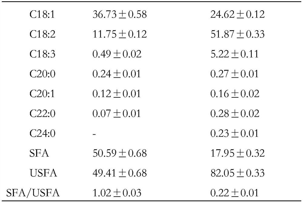 Preparation method of vitamin C loaded oleogel and shortening blend as well as product and application of vitamin C loaded oleogel and shortening blend