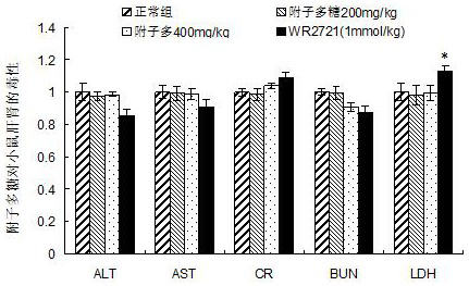 Application of radix aconiti carmichaeli polysaccharide to preparation of medicine for resisting radiation or treating ionizing radiation injury