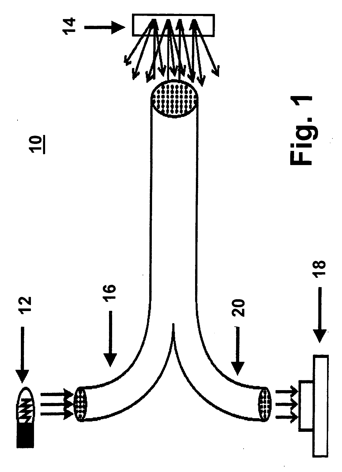 FT-NIR fatty acid determination method