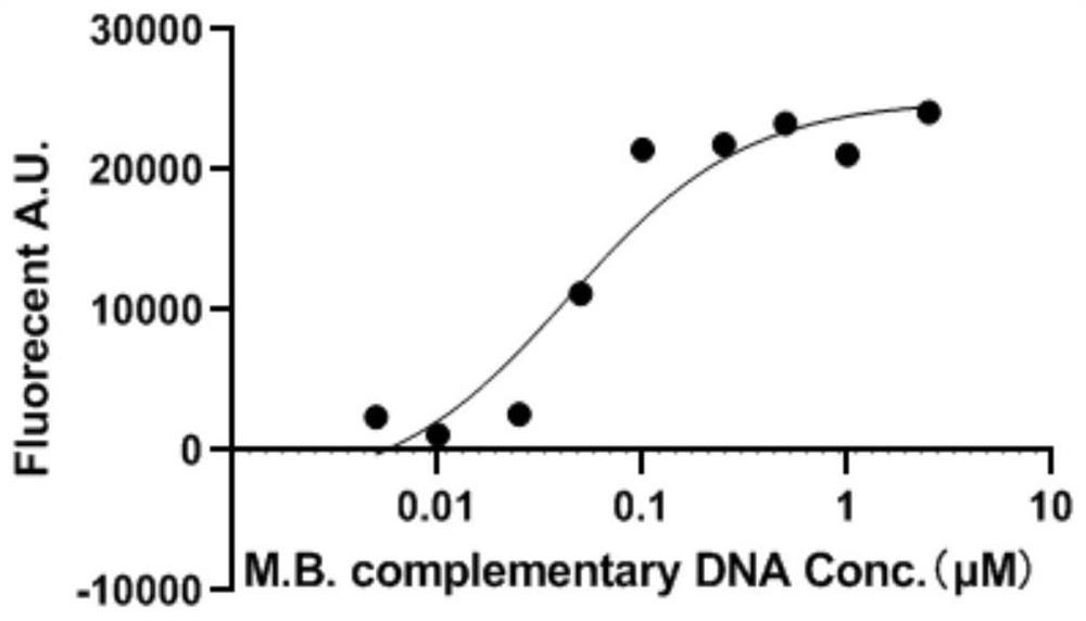 Detection method for inhibiting escherichia coli in-vitro transcriptional activity by bacterial transcription inhibitor