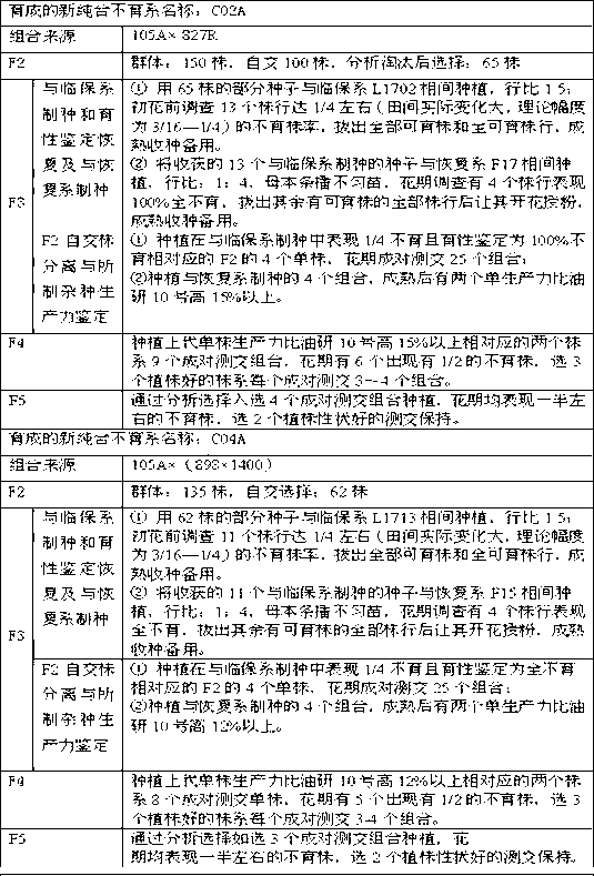 Selection breeding method of new homozygous sterile line of brassica napus