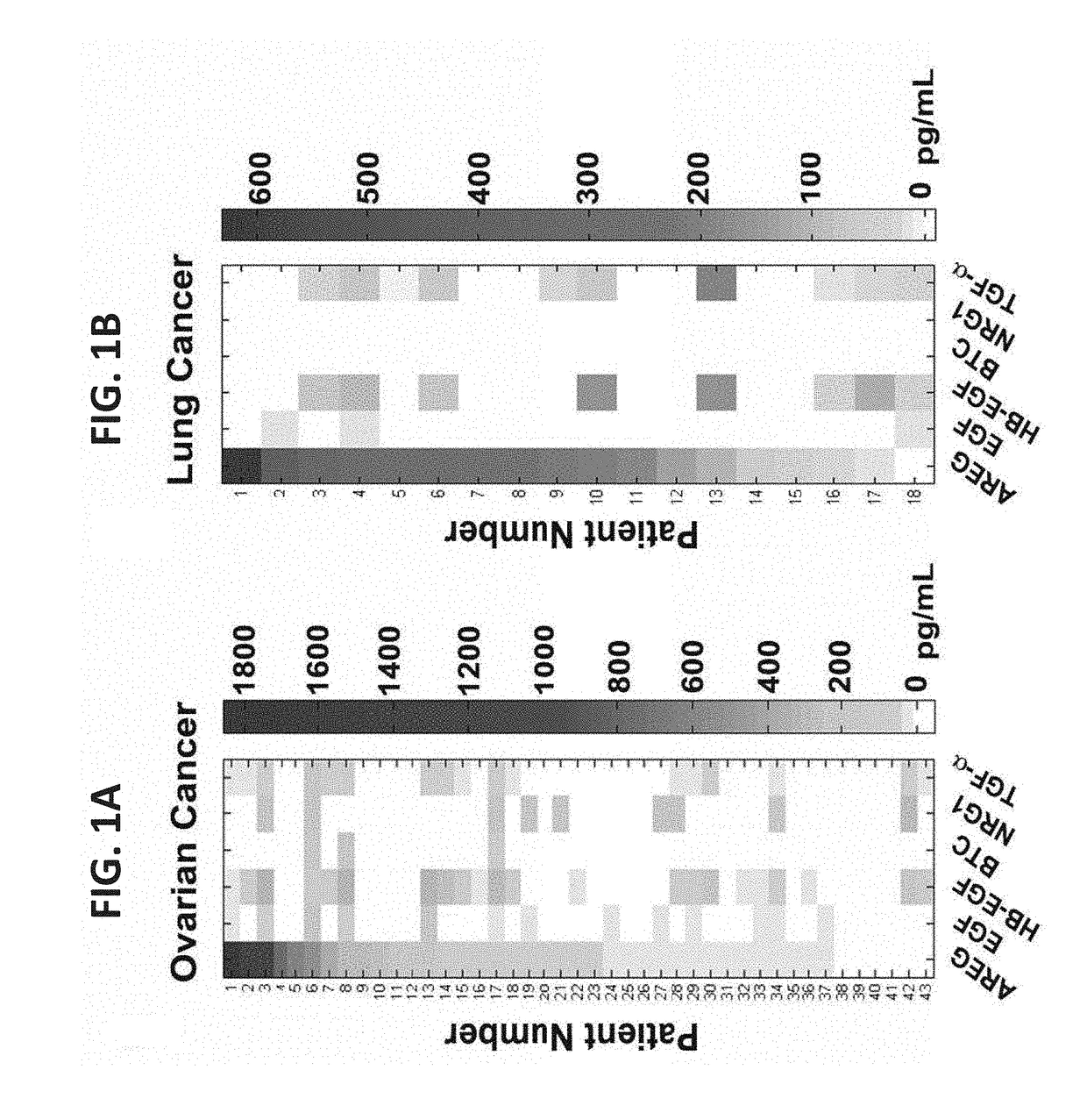 Anti amphiregulin antibodies, compositions comprising same and uses thereof