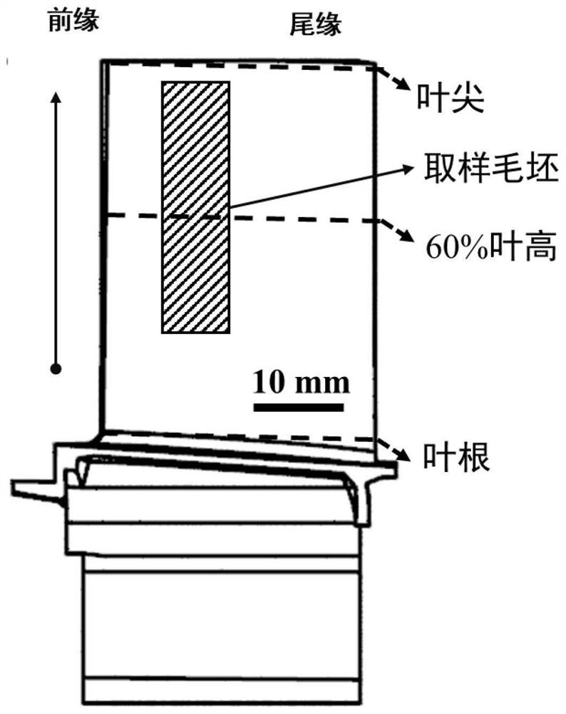 System and method for testing high-temperature mechanical properties of micro samples of complex-configuration turbine blades