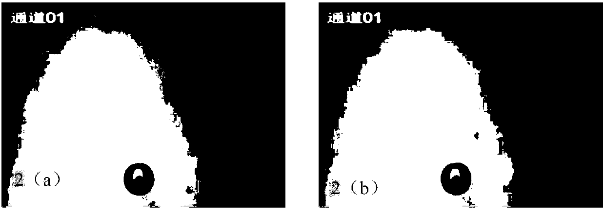 Particle and bubble collision detection method based on Otsu image segmentation