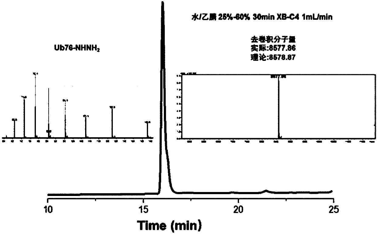 Compound and preparation method and application thereof