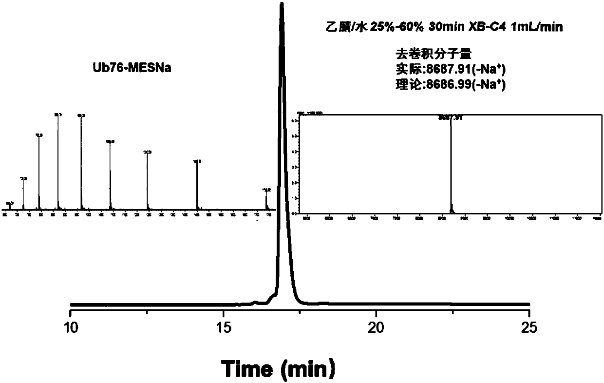 Compound and preparation method and application thereof