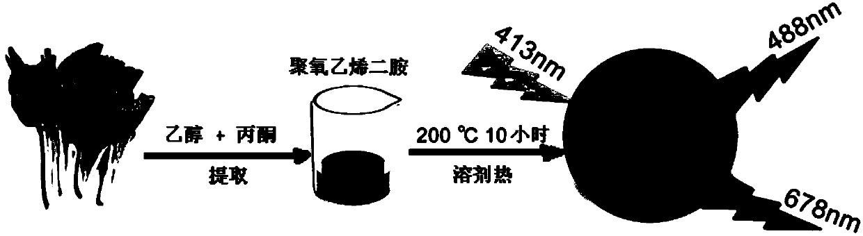 Single-excitation double-emission carbon-based biomass dot as well as preparation method and application thereof