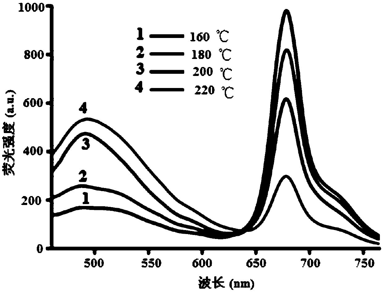 Single-excitation double-emission carbon-based biomass dot as well as preparation method and application thereof