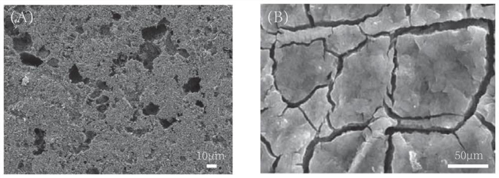 Novel single-layer gas diffusion layer for fuel cell and preparation method and application of novel single-layer gas diffusion layer