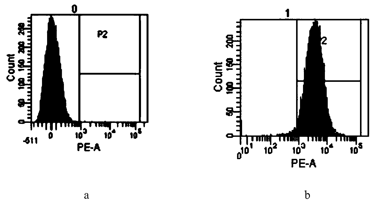 Application of aspirin in preparation of platelet targeted drug delivery system