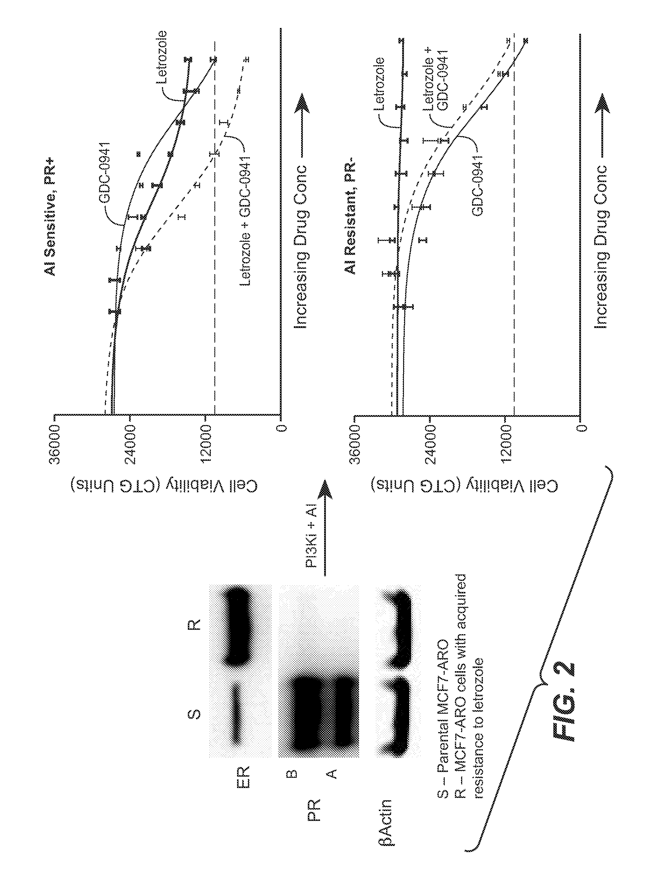 Methods of treating pr-positive, luminal a breast cancer with pi3k inhibitor, pictilisib