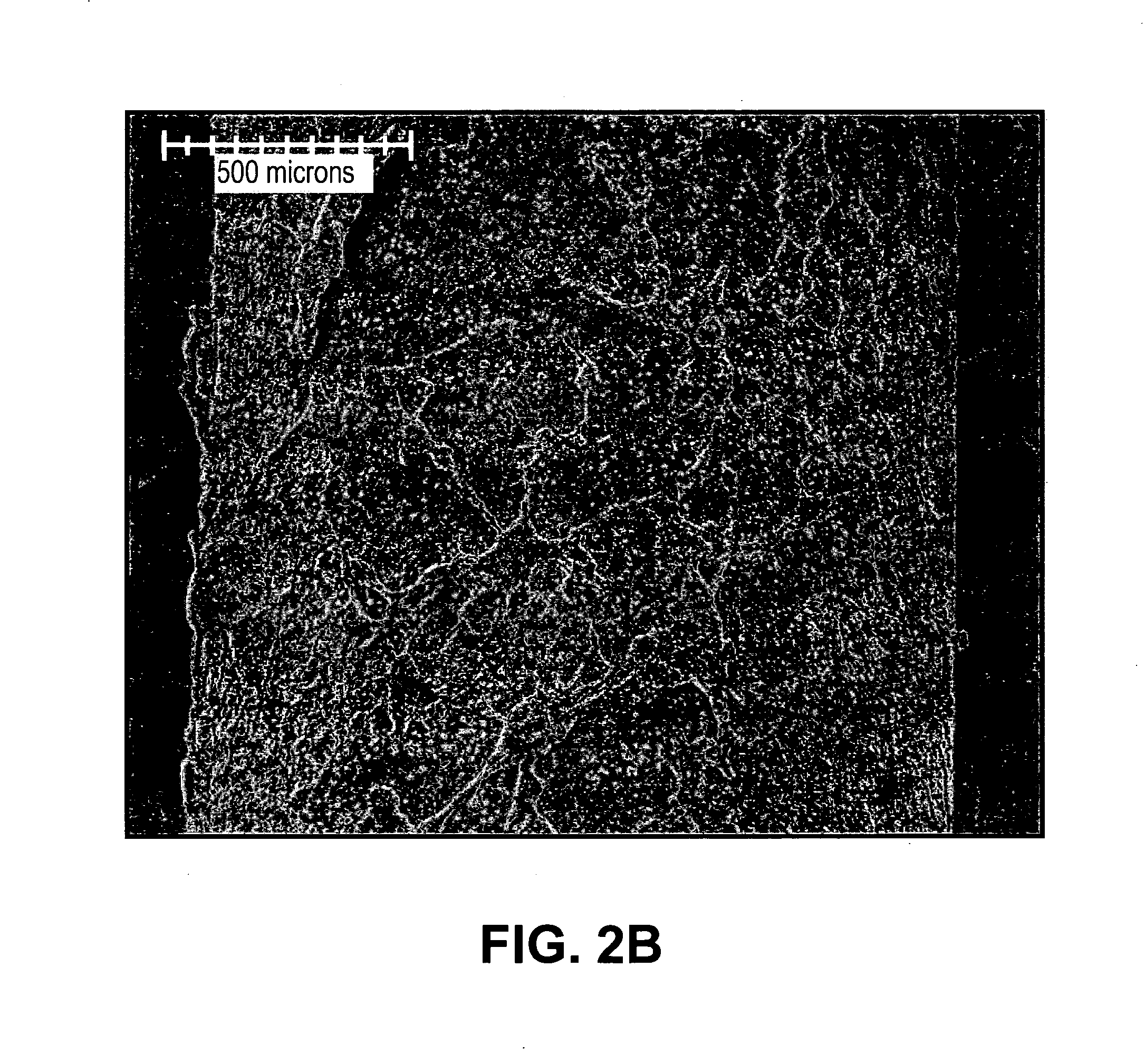 Devices with Anti-thrombogenic and Anti-microbial treatment