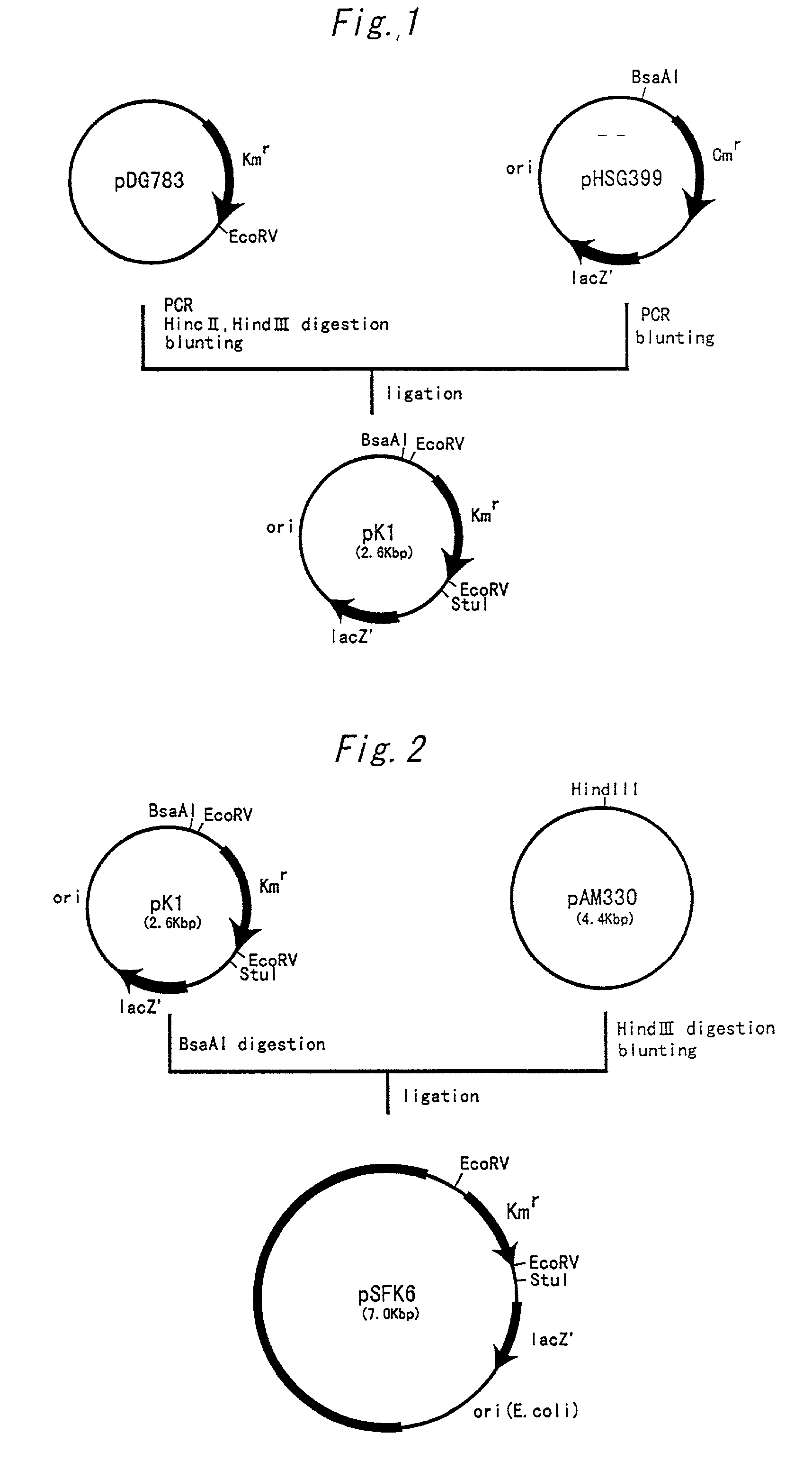 Arginine repressor deficient strain of coryneform bacterium and method for producing L-arginine