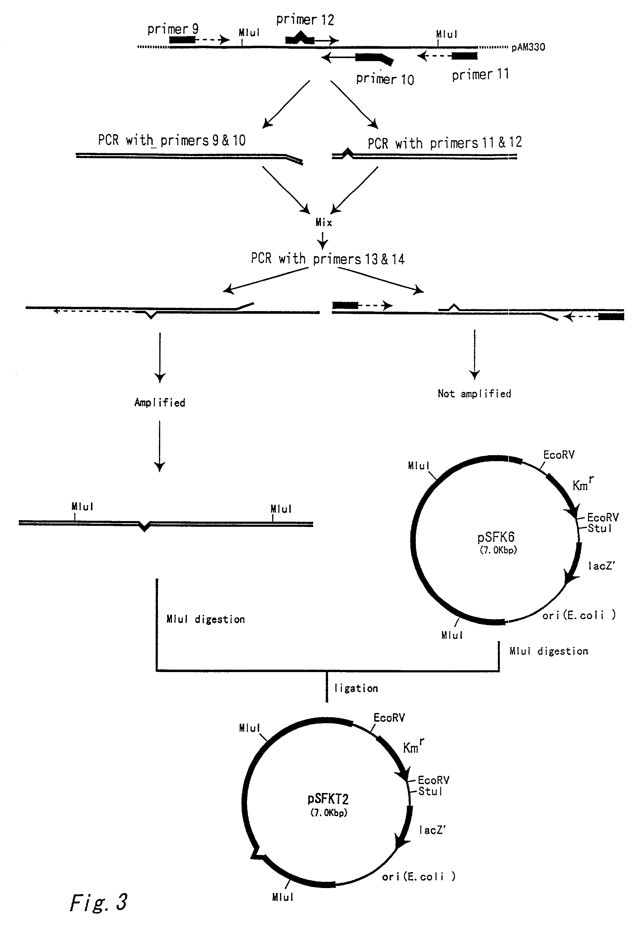 Arginine repressor deficient strain of coryneform bacterium and method for producing L-arginine