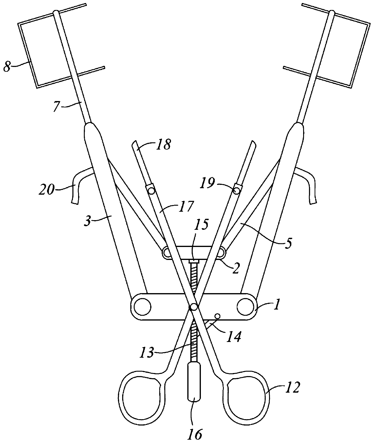 Pre-auricular fistula surgery auxiliary device