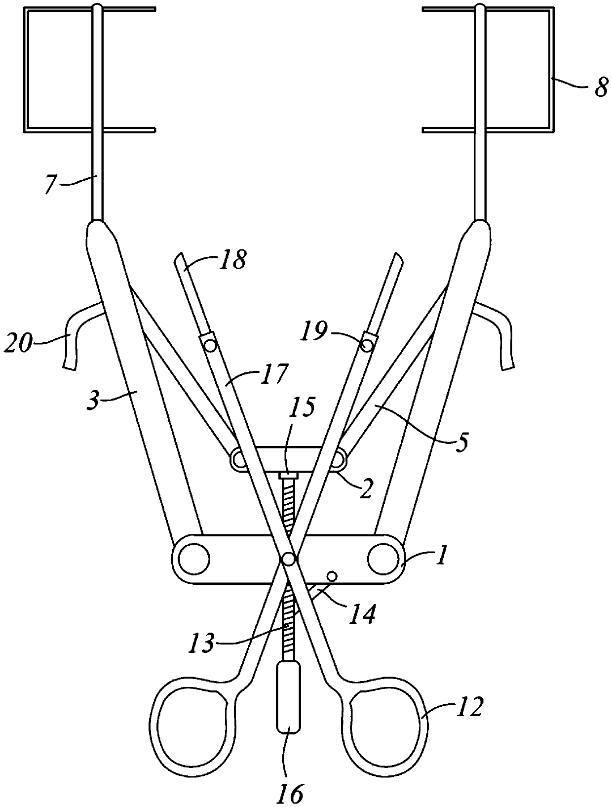 Pre-auricular fistula surgery auxiliary device