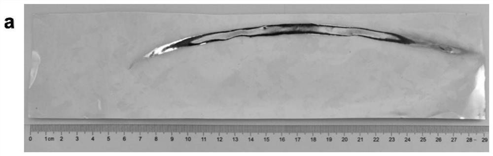 Method for preparing large-area single crystal copper foil