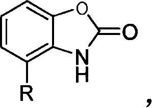 Benzoxazole ketones derivative and preparation method thereof