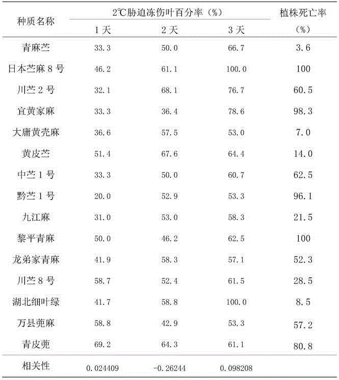 Method for identifying and evaluating cold resistance of ramie germplasm resources