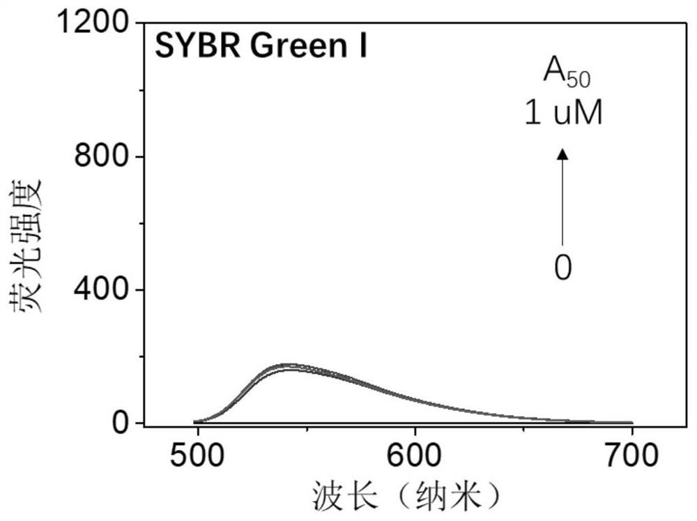 Application of fluorescent probe with dual fluorescence emission in RNA detection