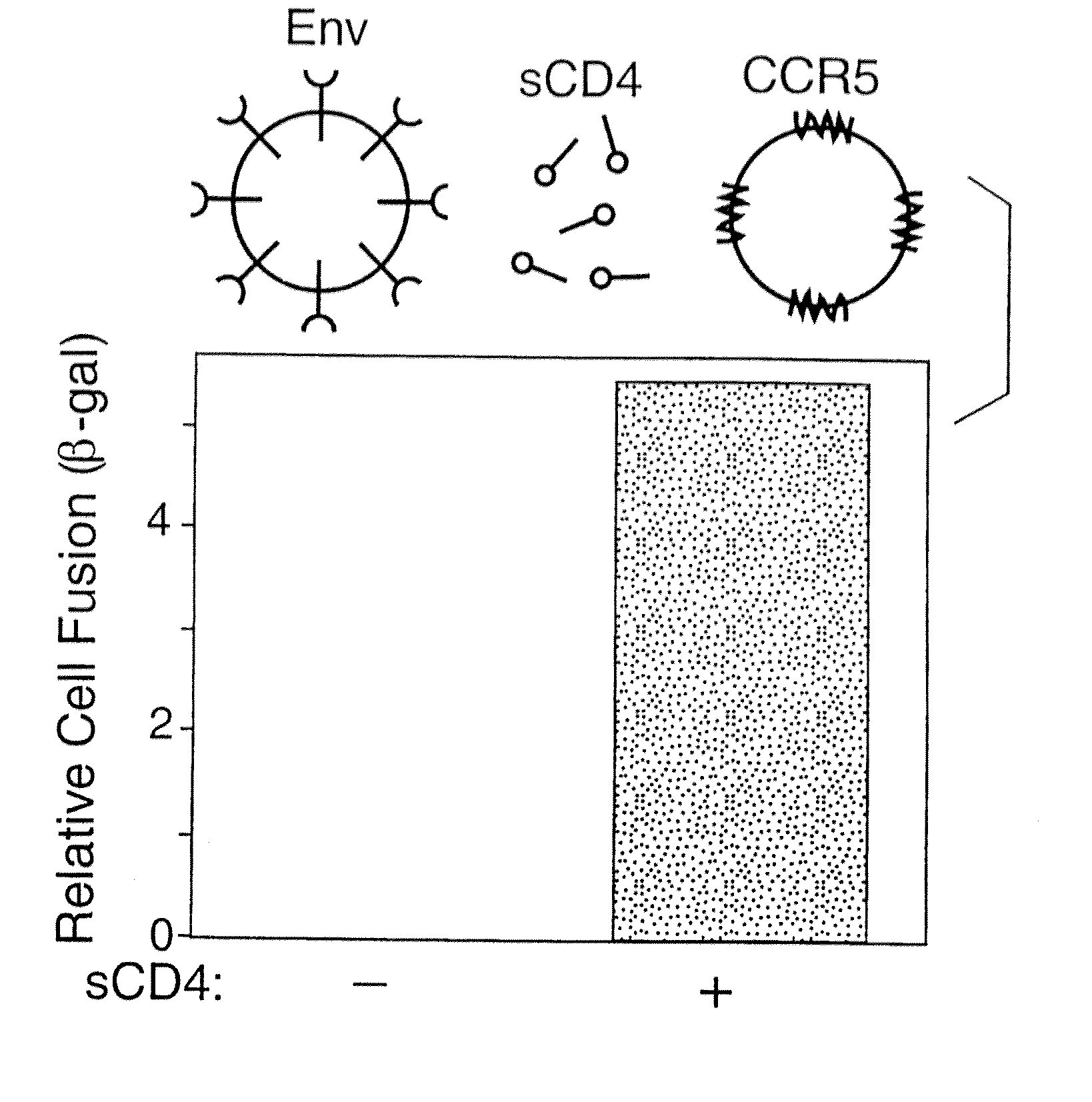 Novel chimeric protein for prevention and treatment of HIV infection