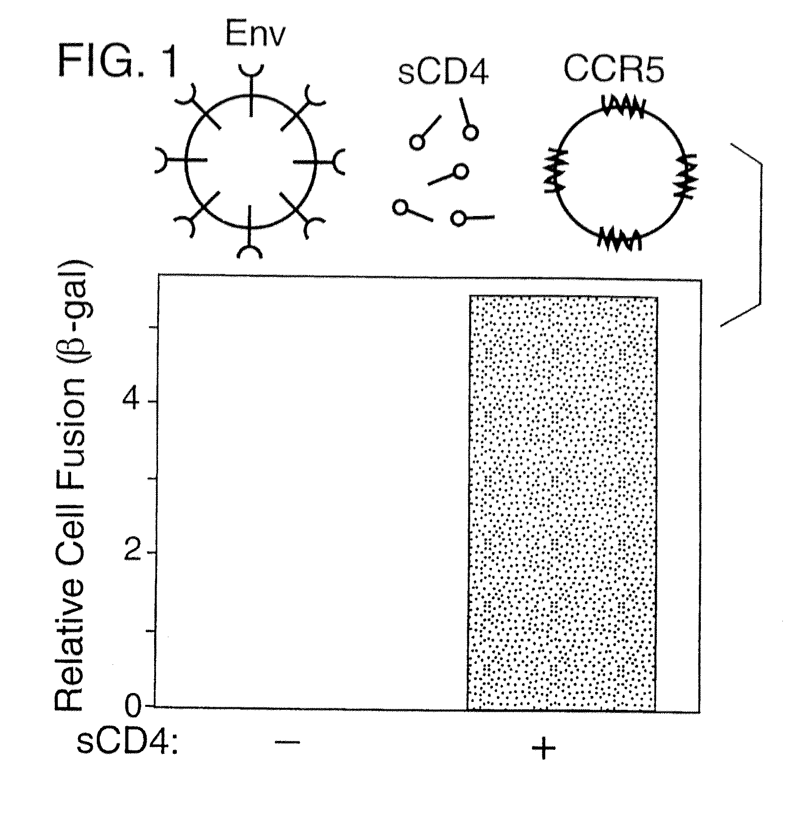 Novel chimeric protein for prevention and treatment of HIV infection