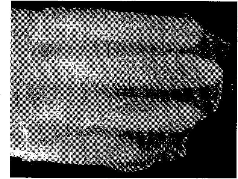 Sulfadiazine silver controlled-release gel and preparation method thereof