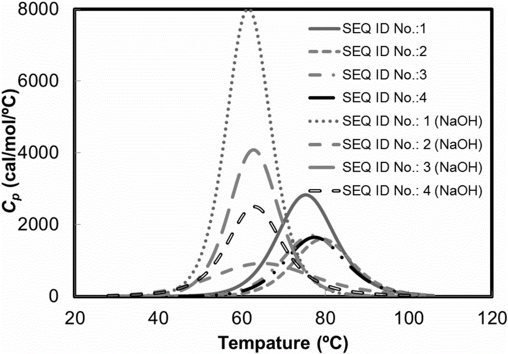 Protein A domain Z derivative with specific binding effect on antibody and application thereof