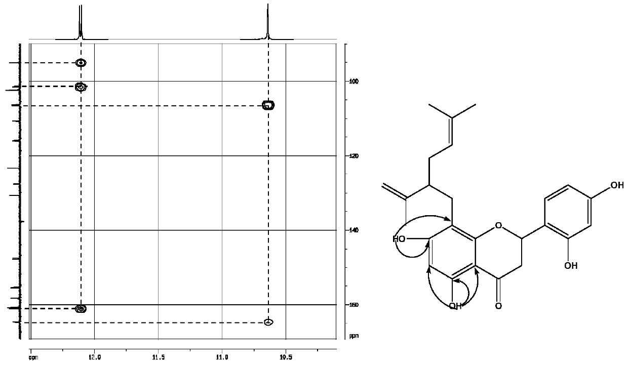 Application of isopentenyl dihydroflavonoids in the field of prevention and treatment of bone diseases