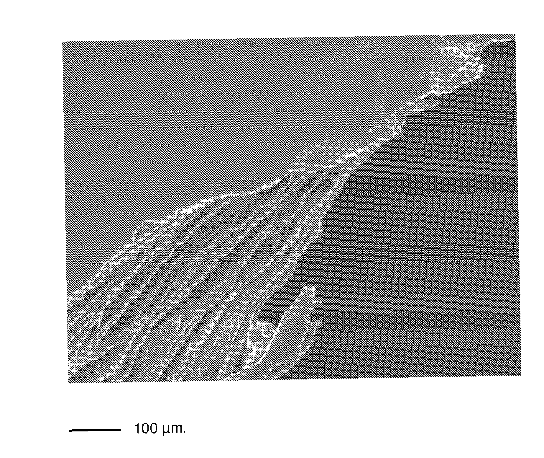 Multimicrolamellar Collagen Membranes