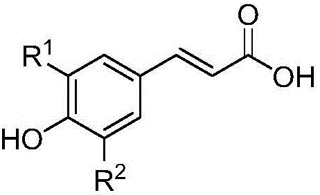 Medicine for preventing and treating diabetes and diabetic nephropathy, and synthetic method and application thereof