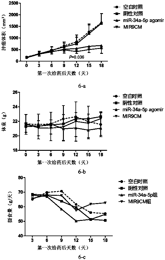 MicroRNA and application thereof in preparation of antitumor drugs