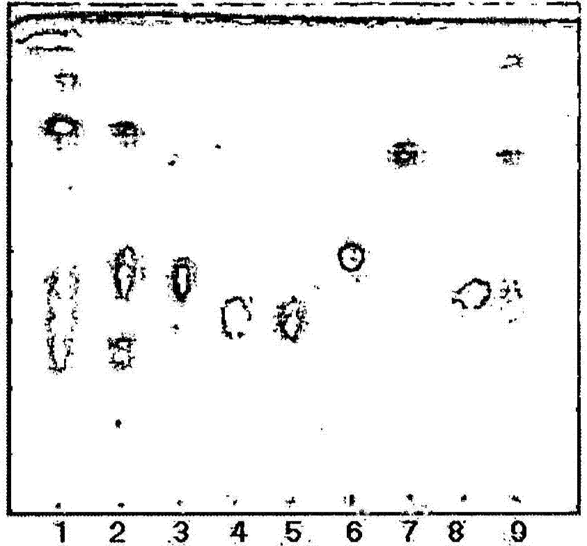 Composition for preventing hair-loss or stimulating hair growth