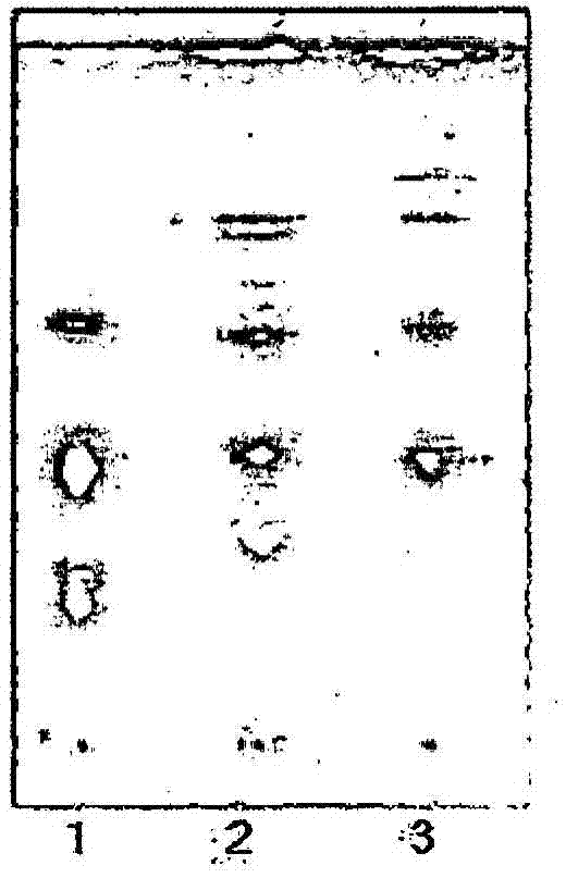 Composition for preventing hair-loss or stimulating hair growth