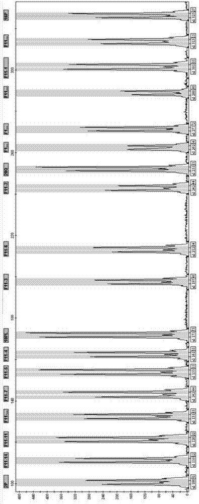 Detection kit for F11gene copy number variation