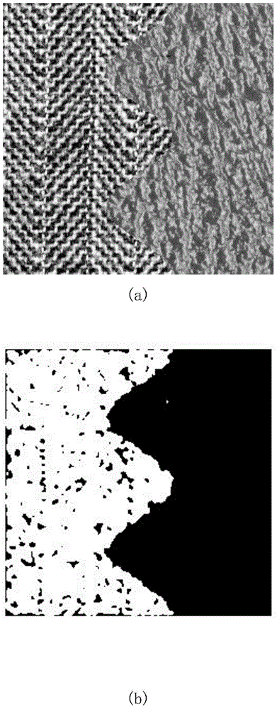 A Texture Image Segmentation Method Combining Sparse Neighbor Propagation and Fast Spectral Clustering