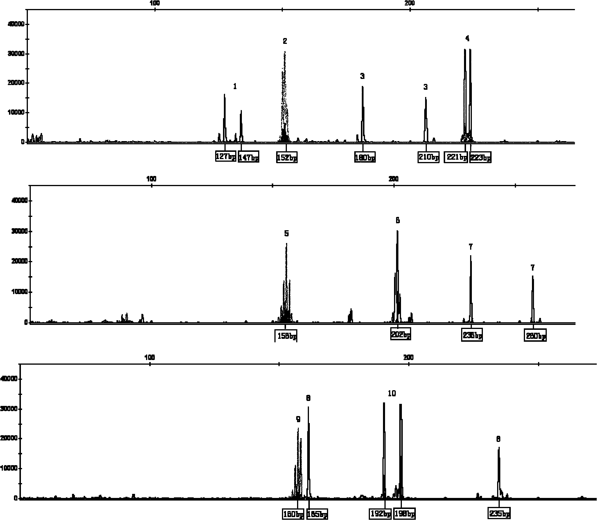 Method for identifying goose variety