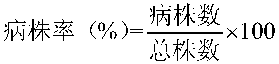 Strain of pseudomonas stutzeri and application thereof