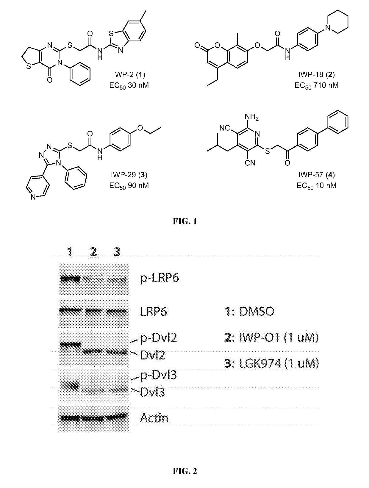 Disubstituted and trisubstituted 1,2,3-triazoles as wnt inhibitors