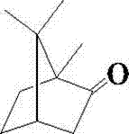 Application of levo-camphor in preparation of drug for preventing and treating ischemic stroke