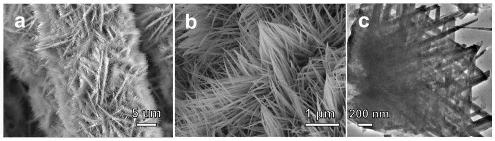 Difunctional electrocatalyst with heterostructure nickel cobalt nitride nanosheet array and preparation and application of difunctional electrocatalyst