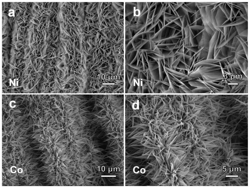 Difunctional electrocatalyst with heterostructure nickel cobalt nitride nanosheet array and preparation and application of difunctional electrocatalyst