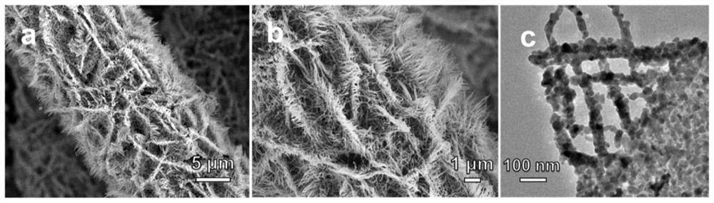 Difunctional electrocatalyst with heterostructure nickel cobalt nitride nanosheet array and preparation and application of difunctional electrocatalyst